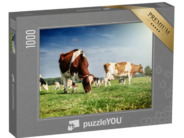 Puzzel 1000 stukjes „Kudde koeien op een zomerweide“
