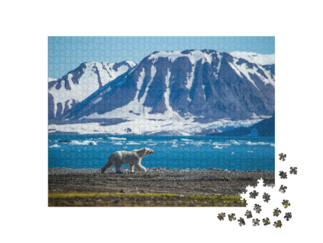 Puzzel 1000 stukjes „Een ijsbeer in het zuiden van Spitsbergen“