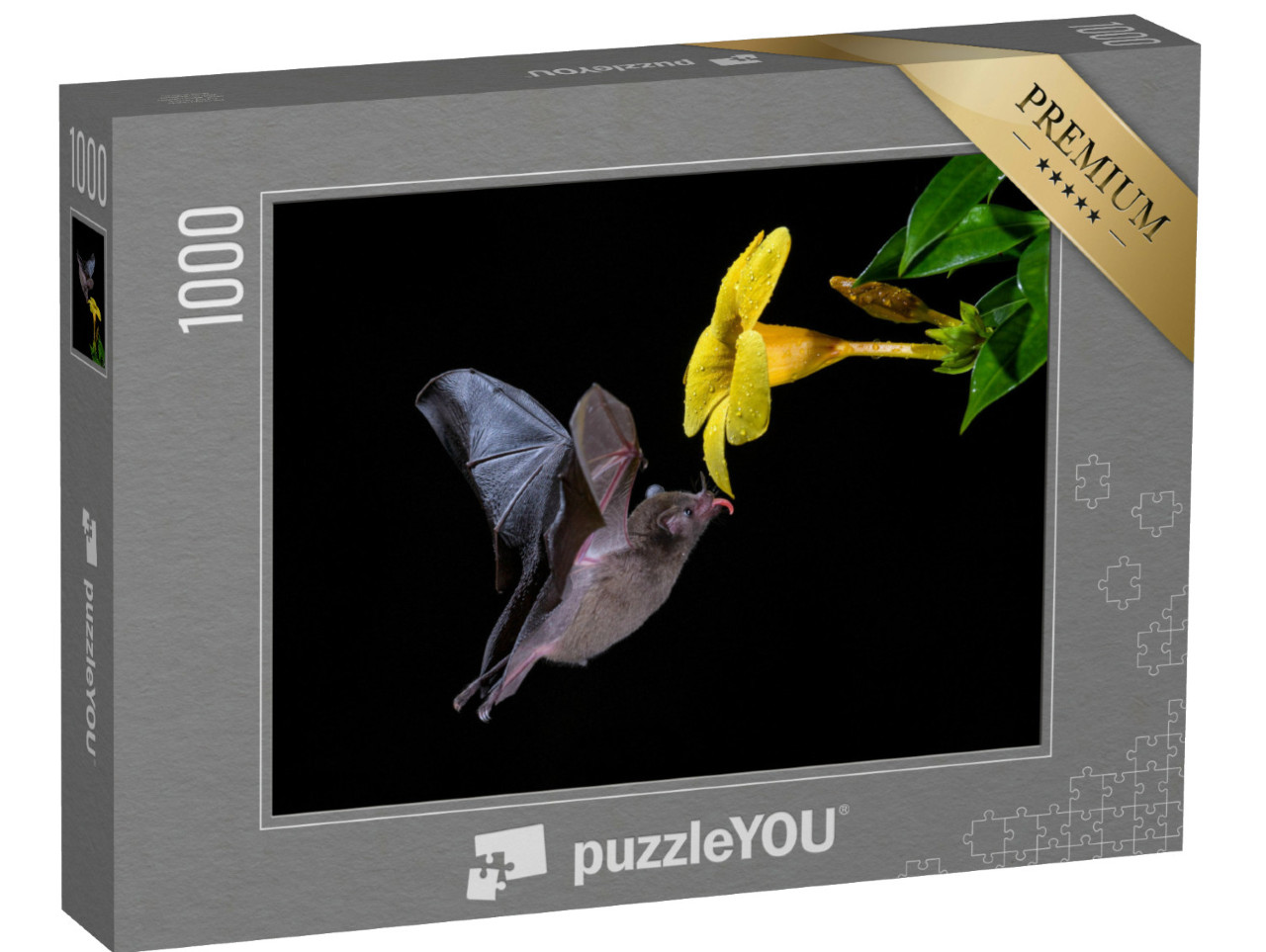 Puzzel 1000 stukjes „Pallas' vleermuis geniet van bloemennectar“