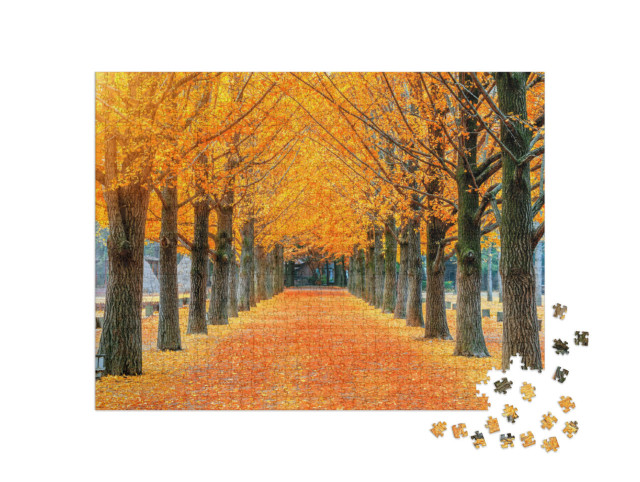 Puzzel 1000 stukjes „Rij gele ginkgobomen op het eiland Nami, Korea“