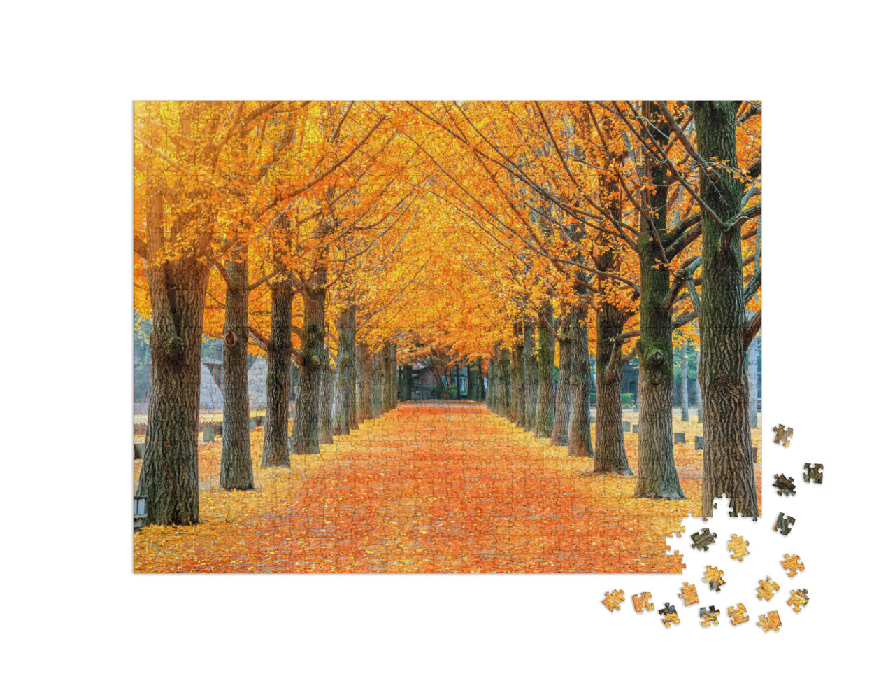 Puzzel 1000 stukjes „Rij gele ginkgobomen op het eiland Nami, Korea“