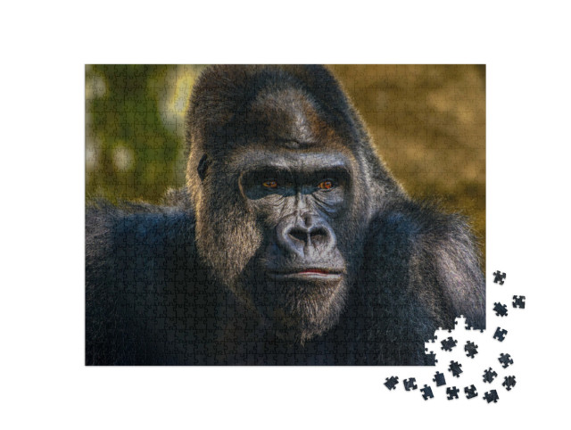 Puzzel 1000 stukjes „Portret van een zilverruggorilla“