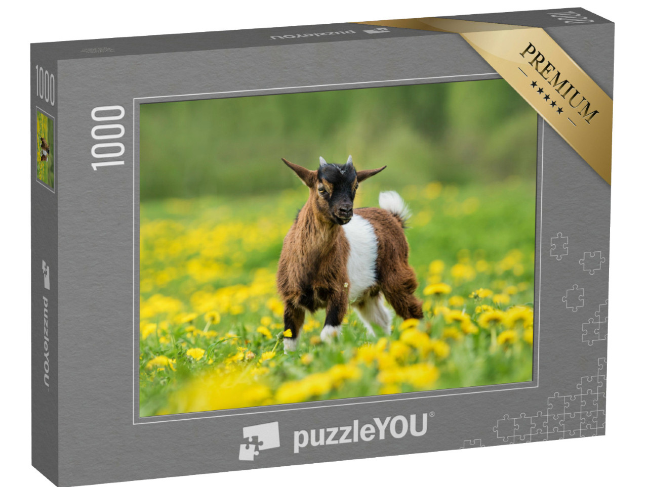 Puzzel 1000 stukjes „Kleine Nigeriaanse dwerggeit in een veld met bloemen“