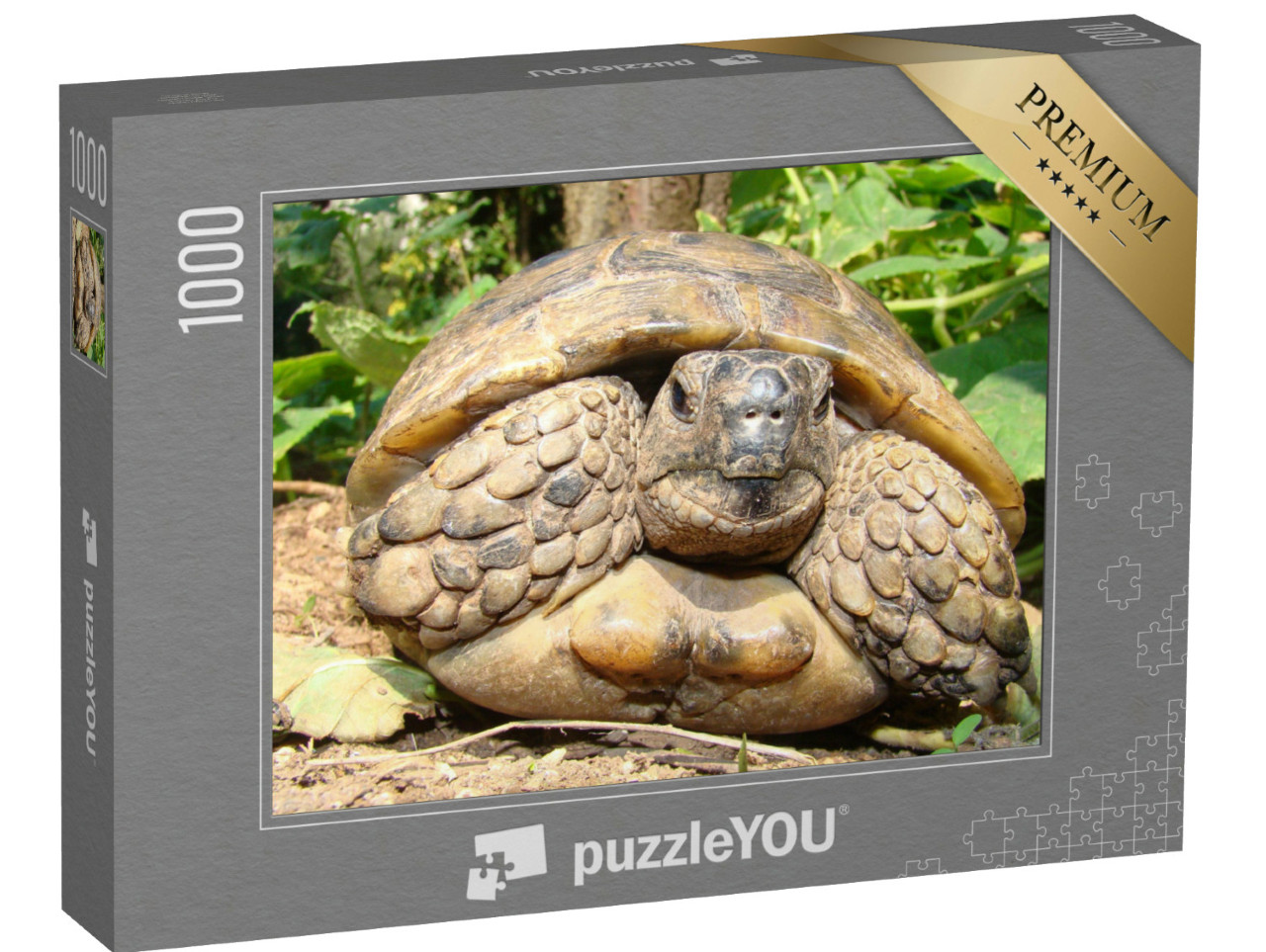 Puzzel 1000 stukjes „Gedetailleerde close-up van een schildpad“