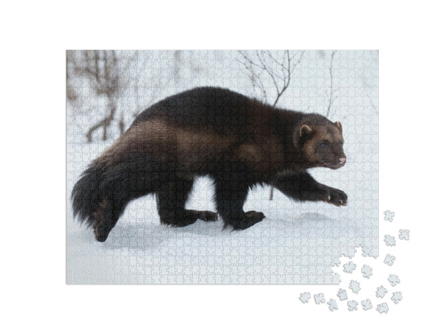 Puzzel 1000 stukjes „Wolverine in de sneeuw“
