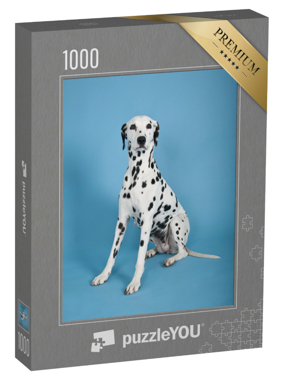 Puzzel 1000 stukjes „Dalmatiër“