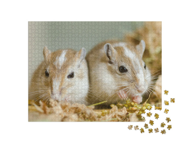 Puzzel 1000 stukjes „Twee schattige Mongoolse gerbils“