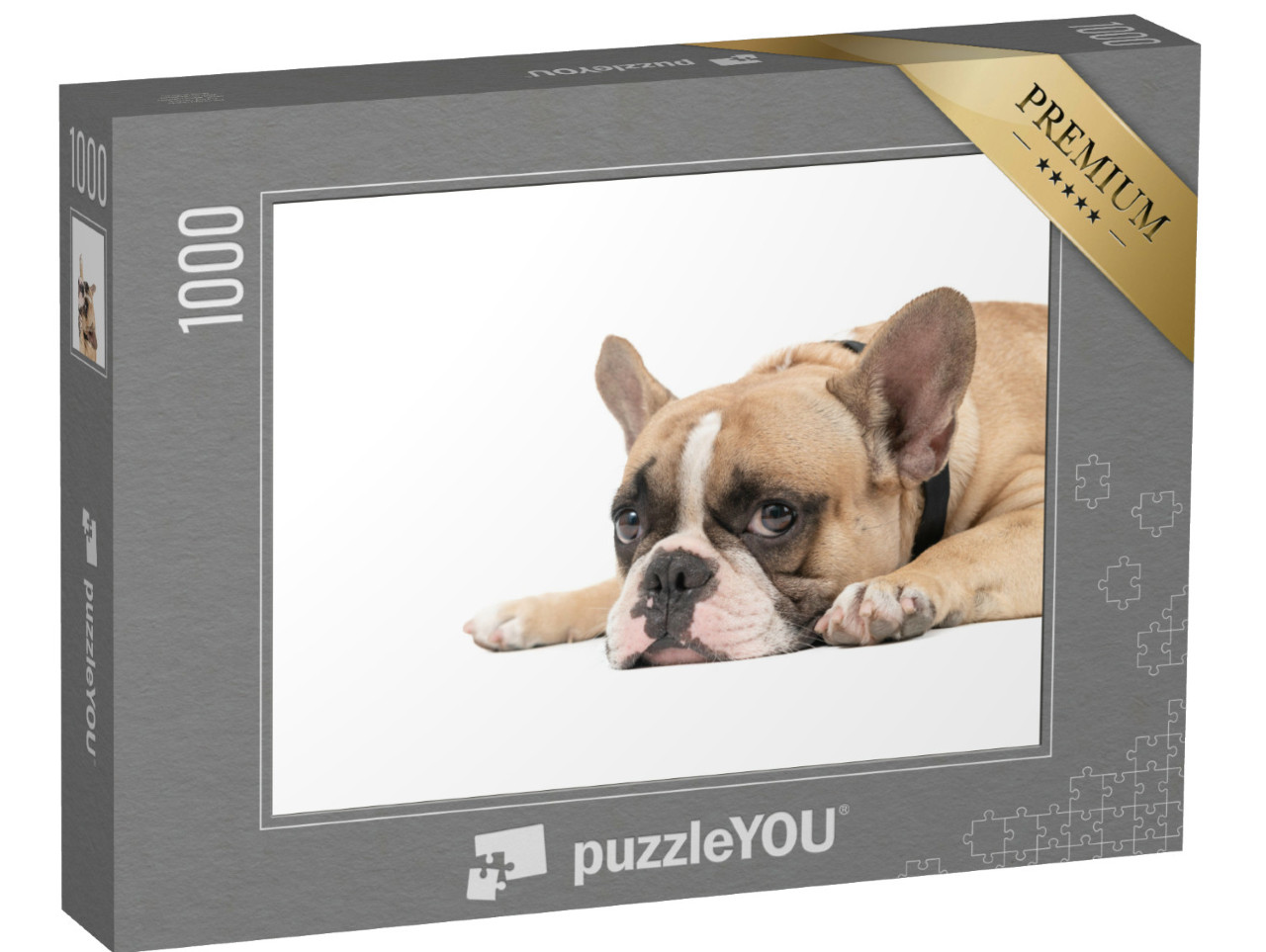 Puzzel 1000 stukjes „Franse bulldog ontspannen liggend“