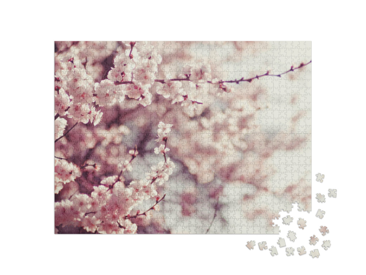 Puzzel 1000 stukjes „Delicate roze kersenbloesems in de lente“