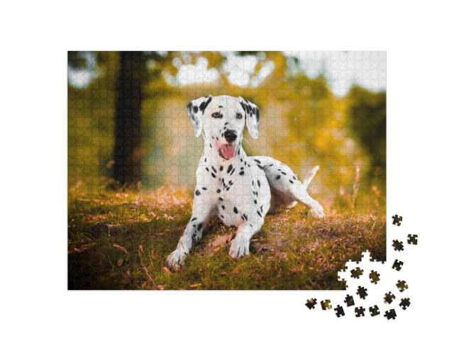 Puzzel 1000 stukjes „Dalmatiër in het gras“