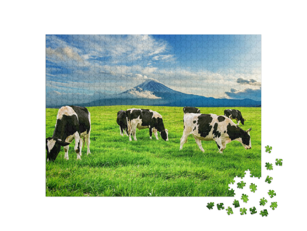 Puzzel 1000 stukjes „Koeien eten weelderig gras op een groene weide voor de berg Fuji in Japan“