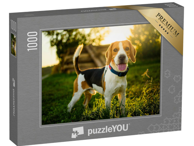 Puzzel 1000 stukjes „Een beagle in de zonsondergang“