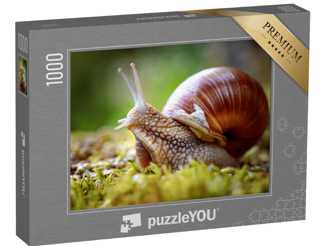 Puzzel 1000 stukjes „Helix pomatia, ook bekend als de wijngaardslak“