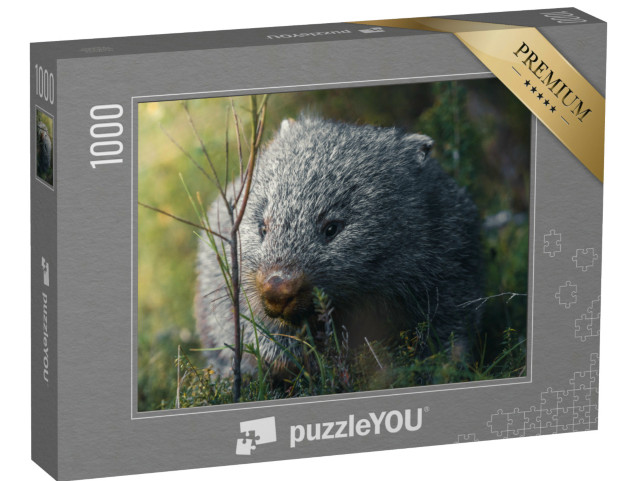 Puzzel 1000 stukjes „Wombat tijdens zijn snackrun“