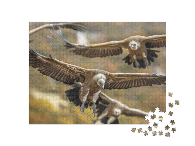 Puzzel 1000 stukjes „Vliegende vale gieren in de Spaanse Pyreneeën“