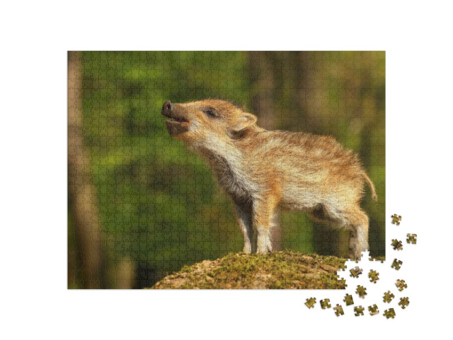 Puzzel 1000 stukjes „Gestreept baby everzwijn in het bos“