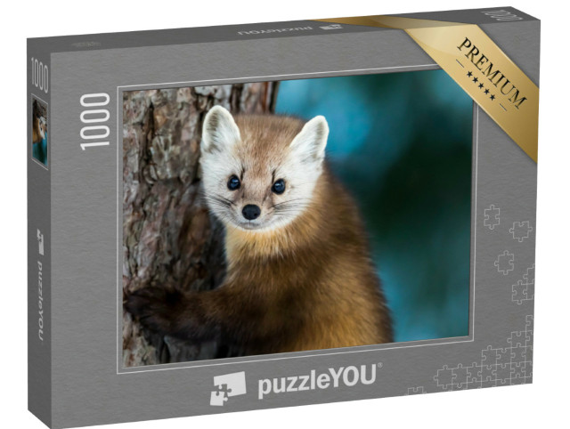 Puzzel 1000 stukjes „Amerikaanse marter op een dennenstam“