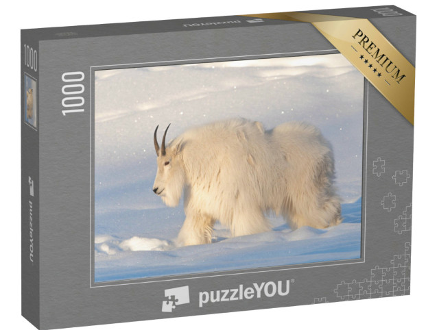 Puzzel 1000 stukjes „Een berggeit in het noorden van Canada“