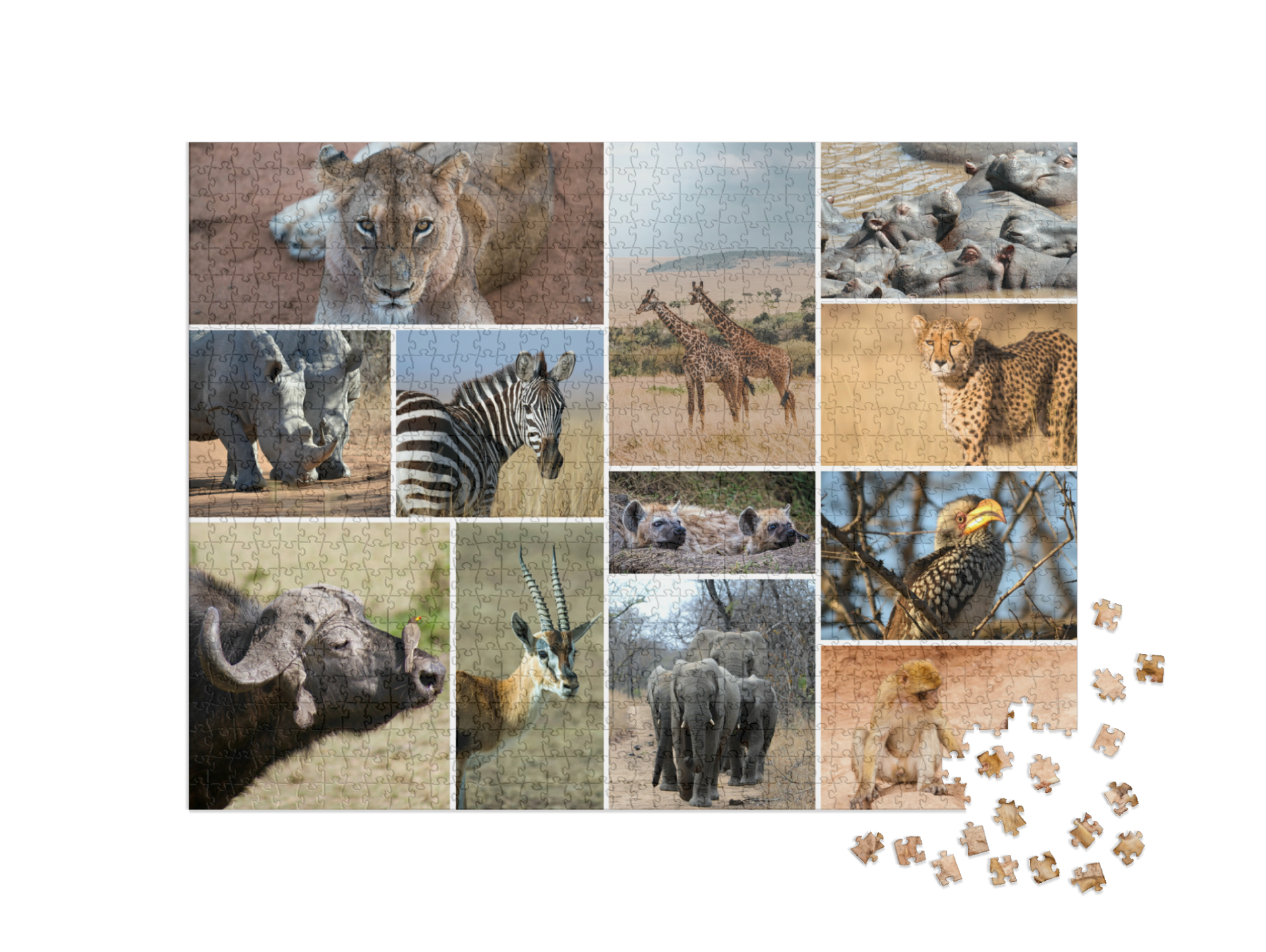 Puzzelcollage
