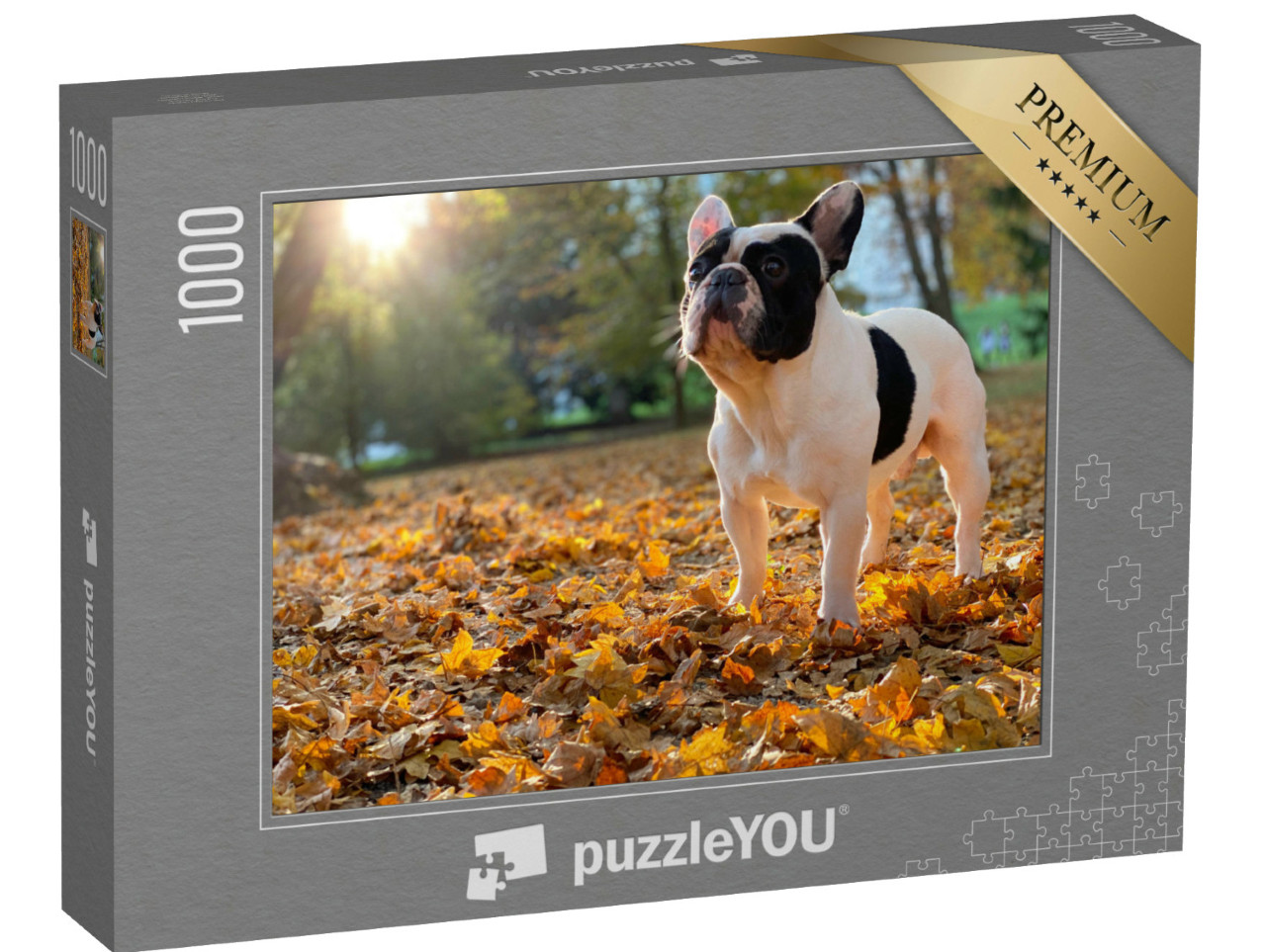 Puzzel 1000 stukjes „Een Franse Bulldog zit“