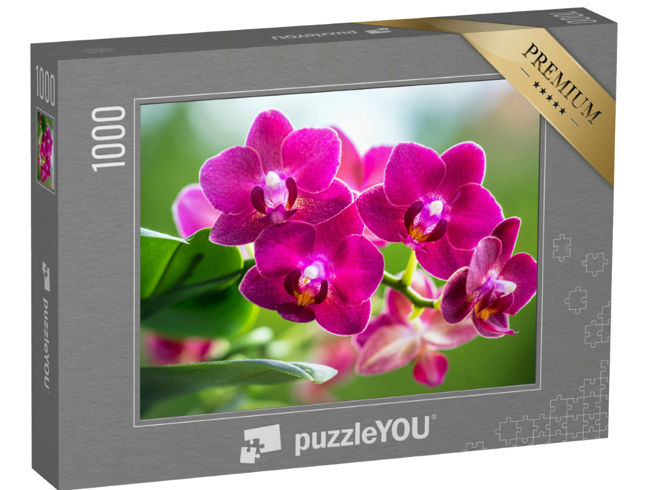 Puzzel 1000 stukjes „Het stralende roze van een bloeiende orchidee“