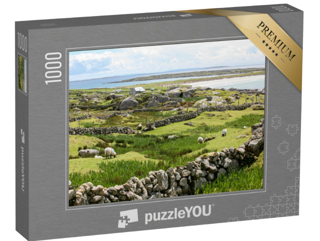 Puzzel 1000 stukjes „Ierse stenen muren aan de kust“