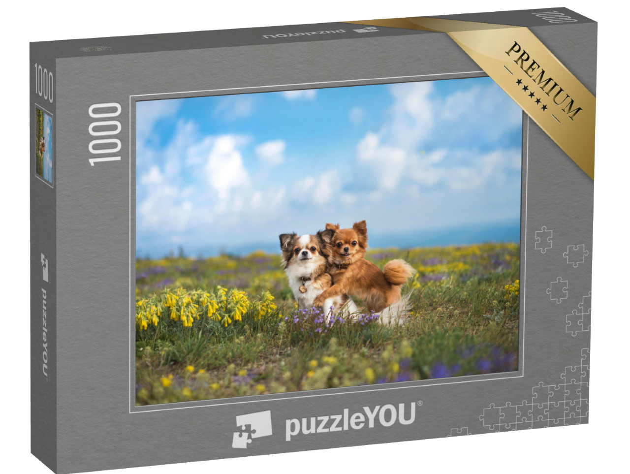 Puzzel 1000 stukjes „Chihuahua op de groene weide“