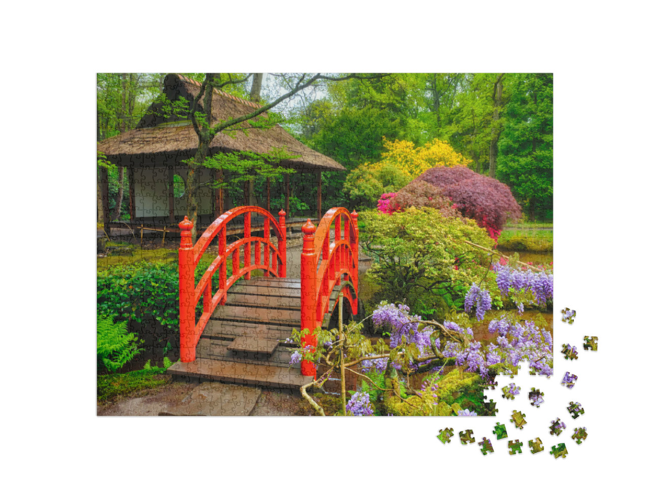 Puzzel 1000 stukjes „Bruggetje in de Japanse tuin, Park Clingendael, Den Haag“