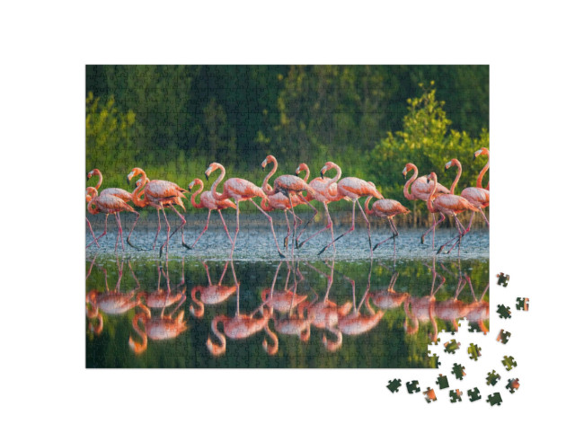 Puzzel 1000 stukjes „Caribische flamingo's in het water“