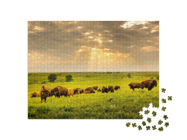 Puzzel 1000 stukjes „Bizonkudde zwerft door Kansas“