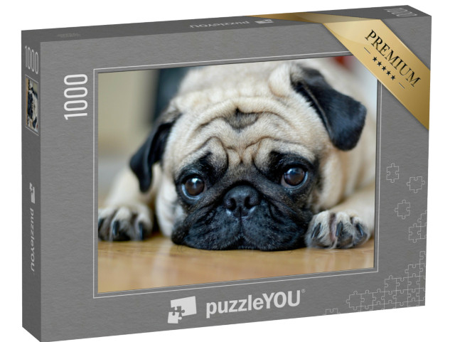 Puzzel 1000 stukjes „Mopshond met een vertrouwende blik“