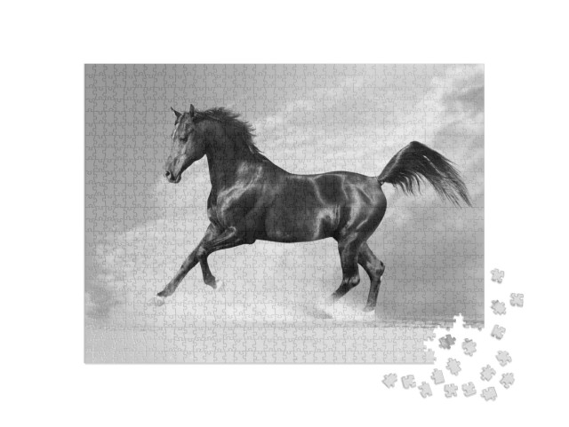 Puzzel 1000 stukjes „Zwarte Arabier in de winter“