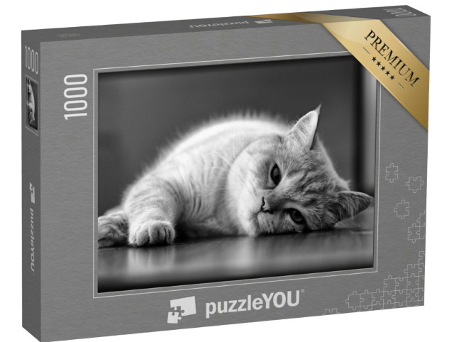 Puzzel 1000 stukjes „Slaperige kat, zwart en wit“