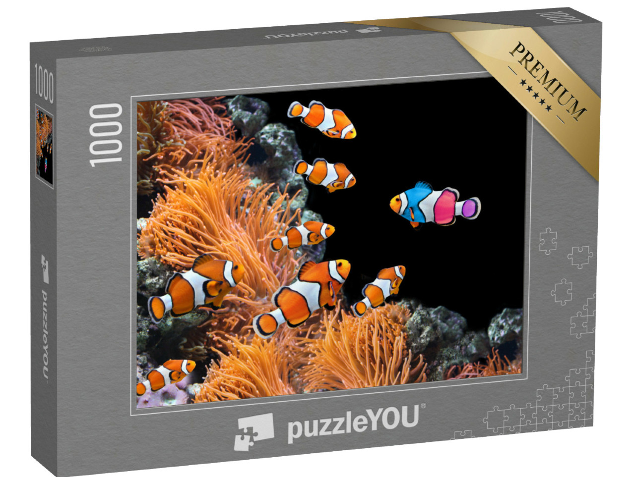 Puzzel 1000 stukjes „School standaard clownvissen en een kleurrijke vis“