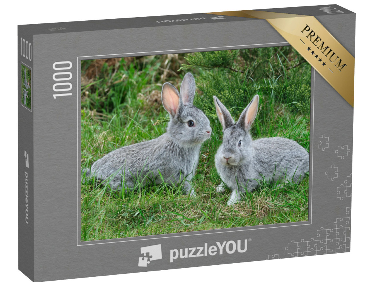 Puzzel 1000 stukjes „Pluizige grijze konijnen op het groene gras“