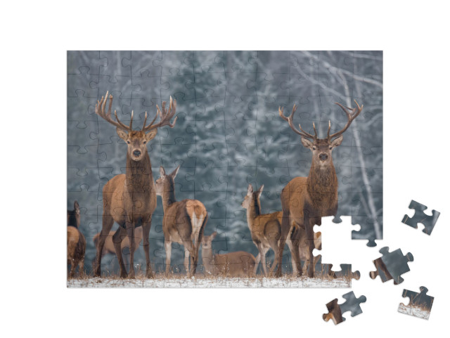 Puzzel 100 stukjes „Een kudde herten in het winterse bos“