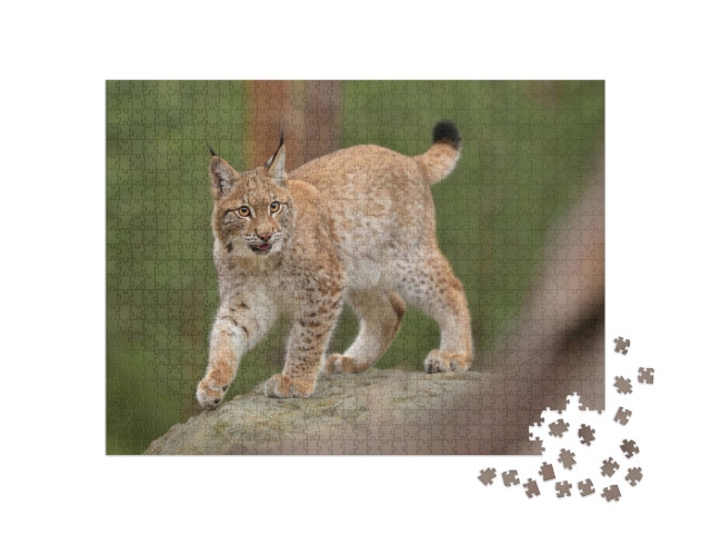 Puzzel 1000 stukjes „Euraziatische lynx in zijn natuurlijke omgeving, Tsjechië“
