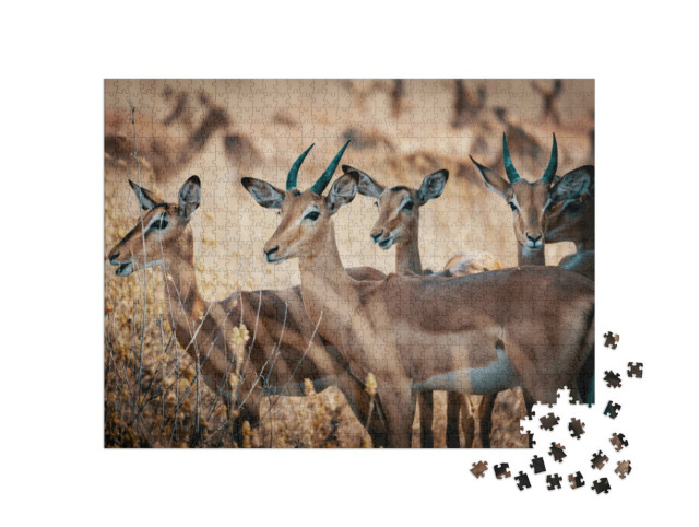 Puzzel 1000 stukjes „Een groep impala-antilopen in het Chobe National Park, Botswana“