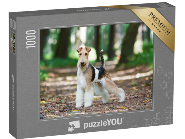 Puzzel 1000 stukjes „Fox terrier in het herfstpark“