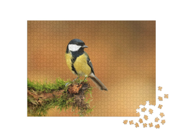 Puzzel 1000 stukjes „Kleine koolmees op een met mos bedekte tak“