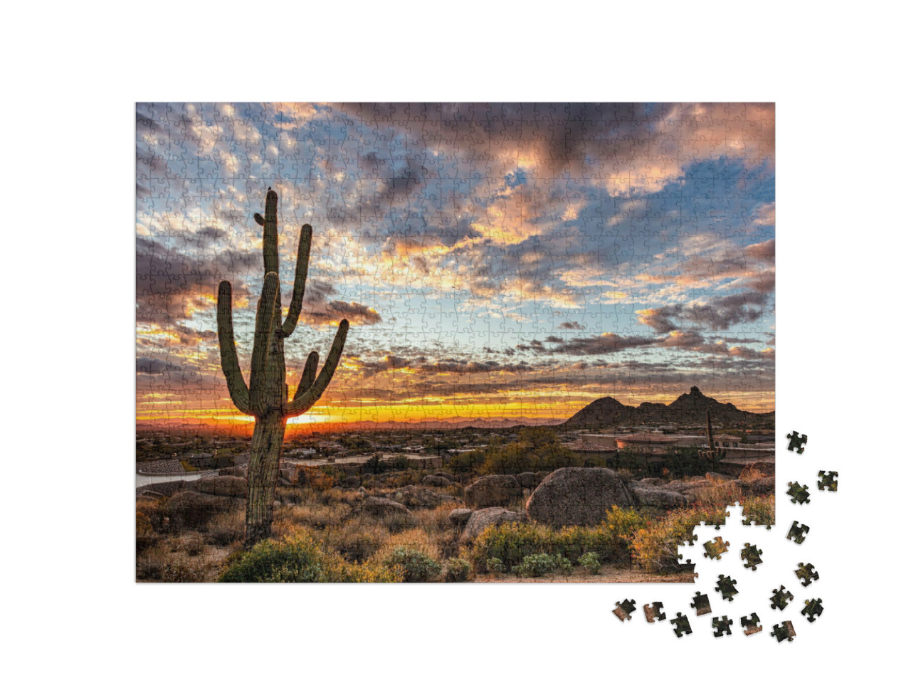 Puzzel 1000 stukjes „Cactus bij zonsopgang“