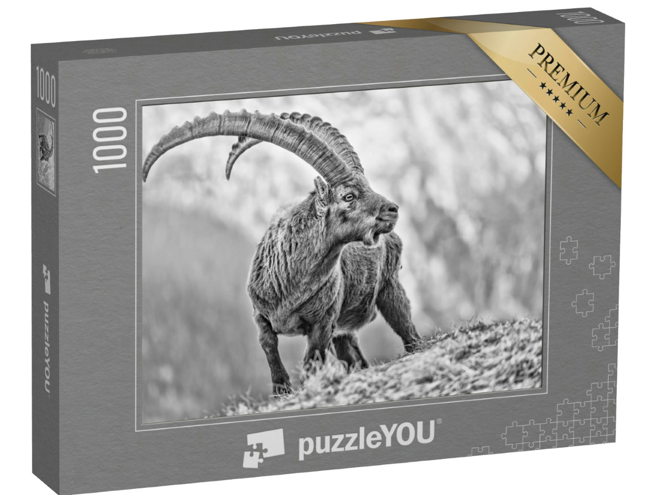 Puzzel 1000 stukjes „Portret van de alpensteenbok“