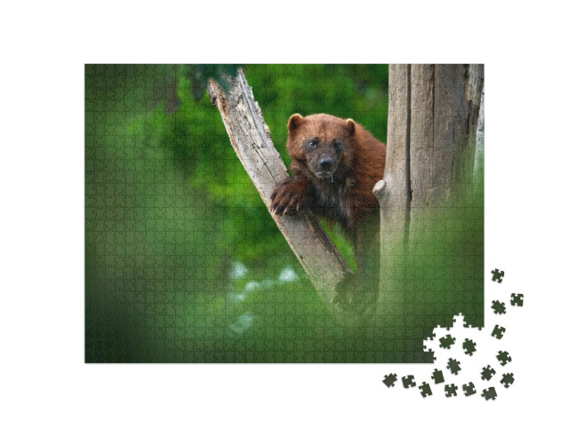 Puzzel 1000 stukjes „Een veelvraat op een boomstam in het bos“