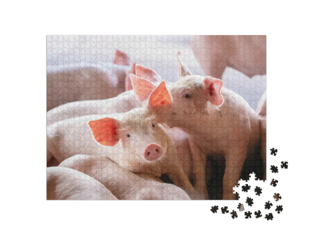 Puzzel 1000 stukjes „Biggen op de boerderij“