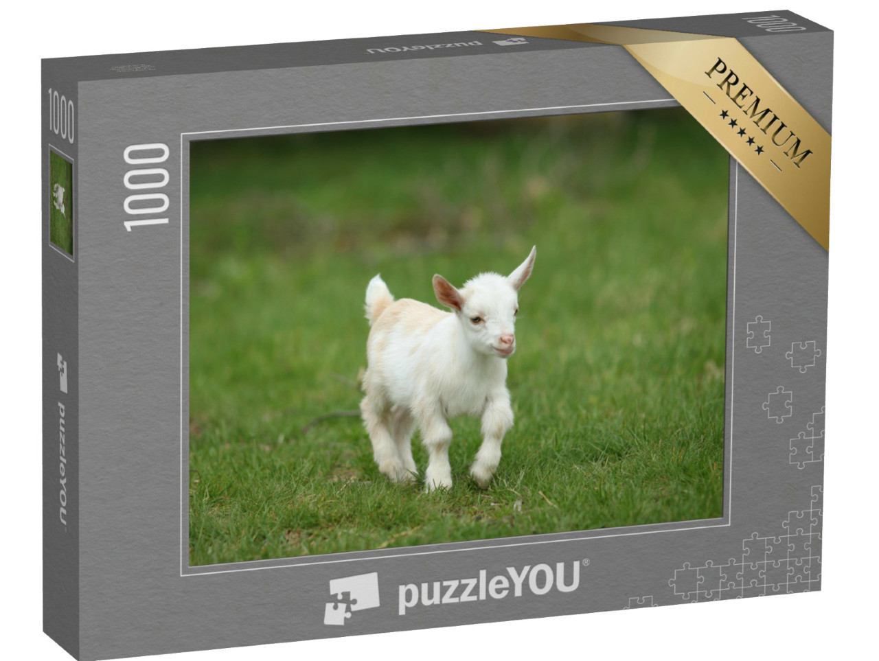 Puzzel 1000 stukjes „Witte babygeit in het gras, New England, VS“