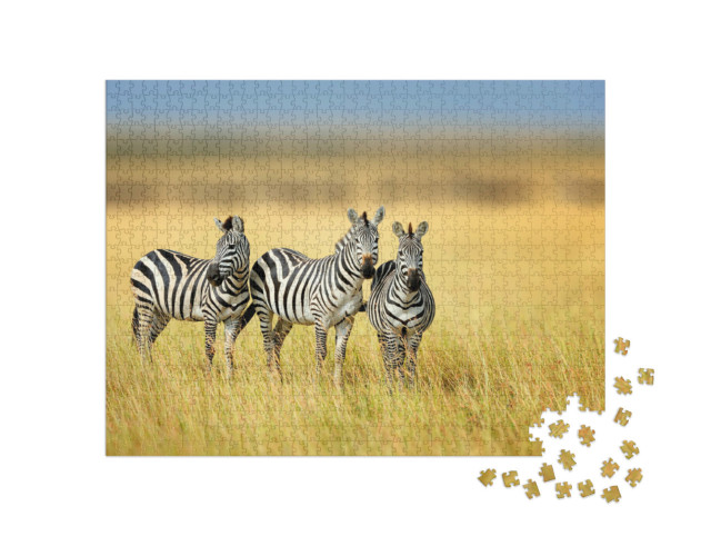 Puzzel 1000 stukjes „Drie zebra's in het Keniaanse nationale park“