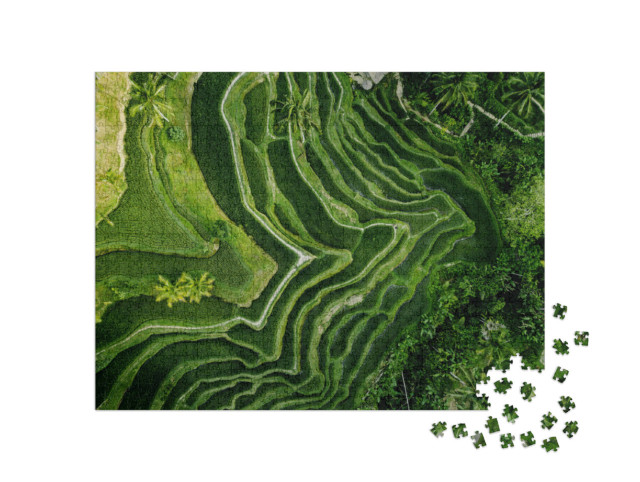 Puzzel 1000 stukjes „Rijstplantage op Bali van bovenaf, Indonesië“