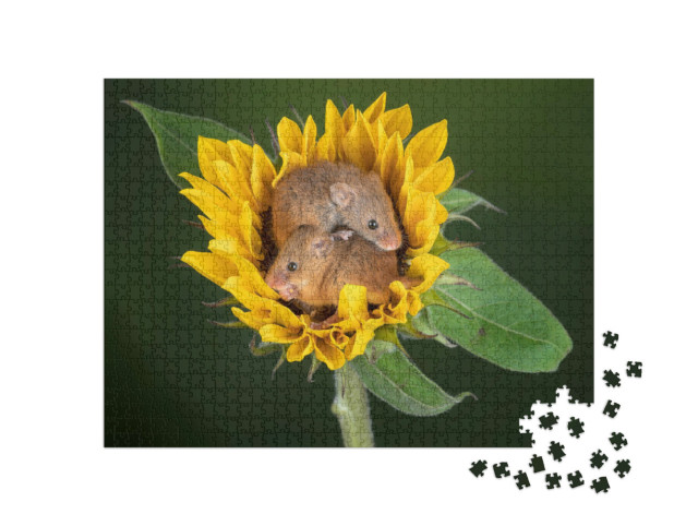 Puzzel 1000 stukjes „Twee muizen knuffelen in een zonnebloem“