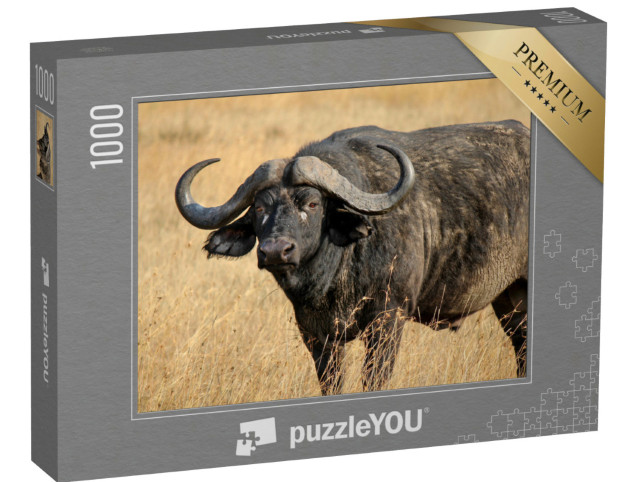 Puzzel 1000 stukjes „Afrikaanse buffel of Kaapse buffel, een van de Big Five“