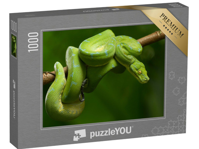 Puzzel 1000 stukjes „Boompython in felgroen“